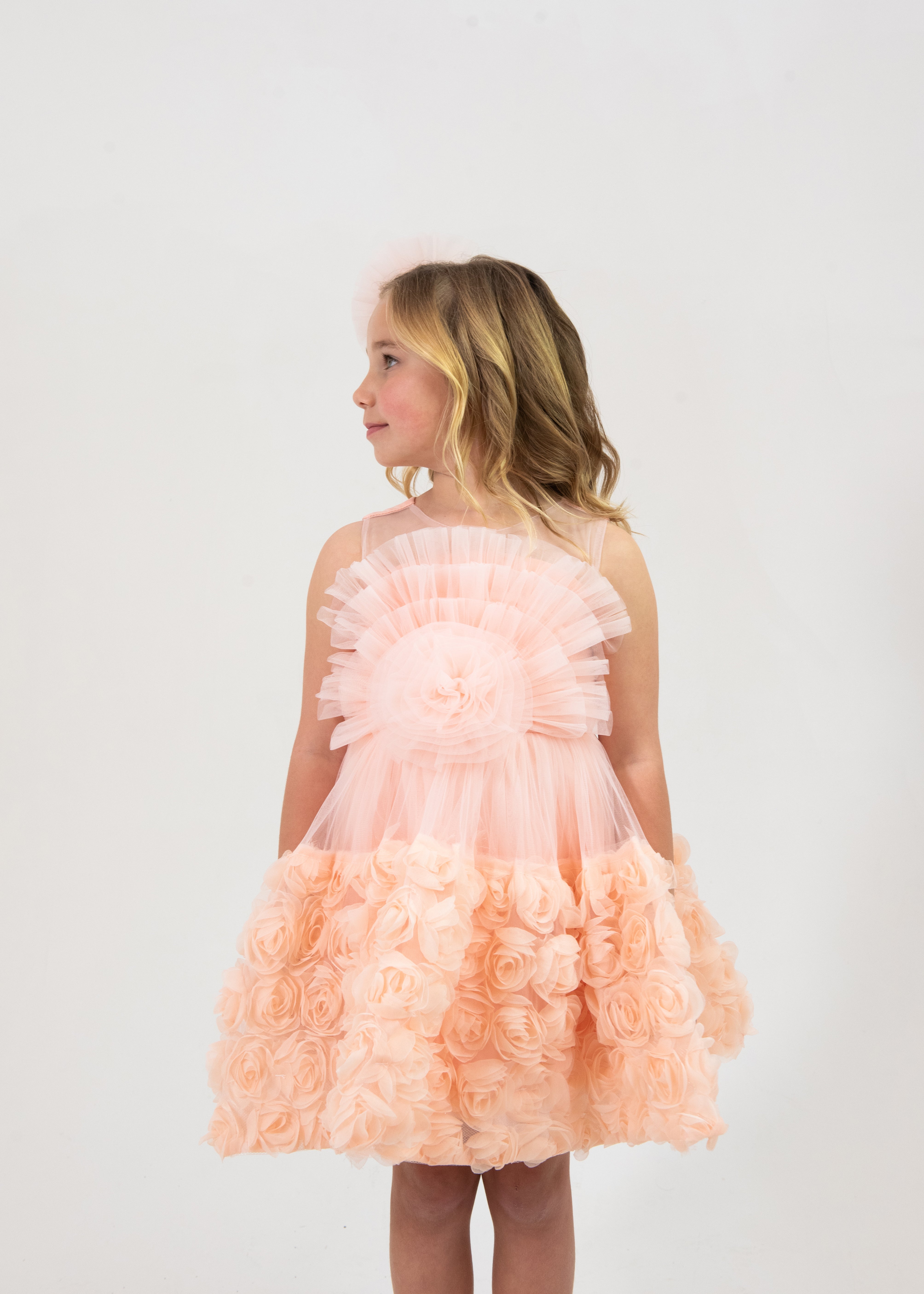 Princess Winnie Rosette Tulle Dress